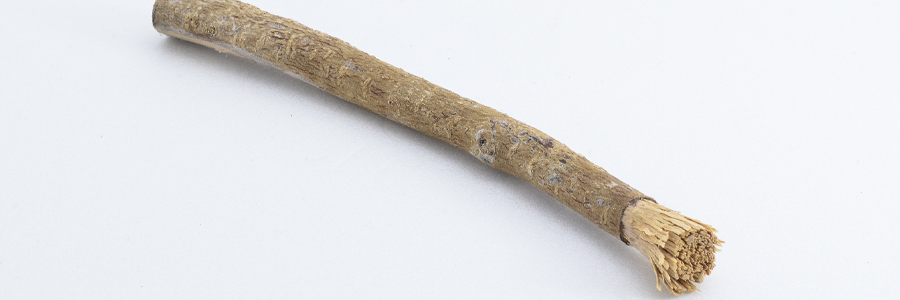 Miswak Stick