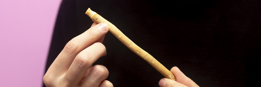 miswak stick